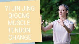 Qigong Yi Jin Jing - Qigong Muscle Tendon Change Classic