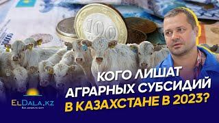 Субсидии фермерам Казахстана 2023: условия, размеры и ключевые изменения в системе компенсаций