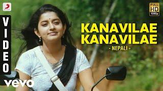 Nepali - Kanavilae Kanavilae Video | Bharath | Meera | Srikanth Deva