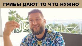 ГРИБЫ ВСЕГДА ДАЮТ ТО ЧТО НУЖНО, А НЕ ТО ЧТО ХОЧЕШЬ  ||  Павел Дмитриев отвечает на вопросы