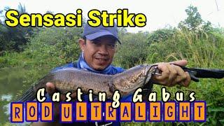 #mancingGabus #belitung #endra SENSASI STRIKE PIRANTI ULTRALIGHT ||  CASTING CAB