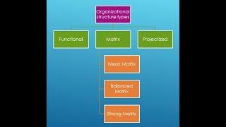 Types Of Organizational Structure | Functional | Matrix | Projectized