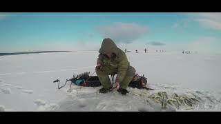 Зимняя рыбалка на Сахалине. 23 февраля 2019 года. Мыс Рорэй, ловля зубаря