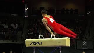 Sun Wei (CHN) - Pommel Horse - 2018 American Cup