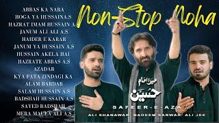 One Hour Noha | Nadeem Sarwar Noha Full Album | Noha 2024 | Noha Nadeem Sarwar 1 hour