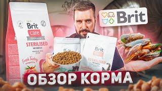 Новый сухой корм Brit Care для кошек и собак | Обзор отечественного корма Брит Кеа