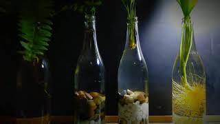 DIY 1- How to decorate recycle glass bottle/Botol kaca Hiasan