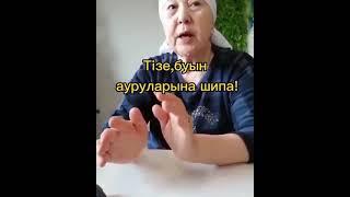 Тізе,буын ауруларына шипа