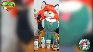 AURORA SPENCER HD FoxyBucks coffee  (  Y  )