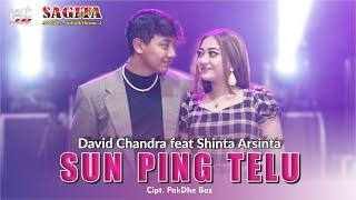 Shinta Arsinta Feat David Chandra - Sun Ping Telu | Dangdut (Official Music Video)