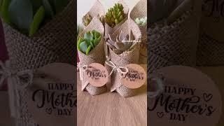 #mothersday #mothersdaygift #succulentgifts #succulent #mothersdaygiftideas #mothersday2024