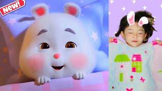 Tik tok compilation Super Cute Fat Rabbit | Si embul kelinci lucu bikin ngakak (New)