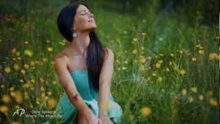 CHRIS SPHEERIS - Where The Angels Fly(Relaxing, soothing music)