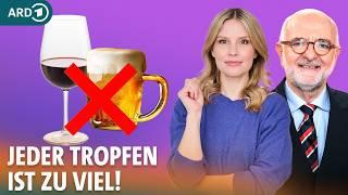 Alkohol: Das passiert bei Alkoholverzicht im Körper | Dr. Julia Fischer Community | ARD Gesund