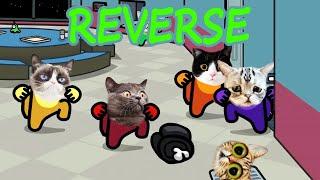 Distraction dance animation Cats version Reverse Compilation