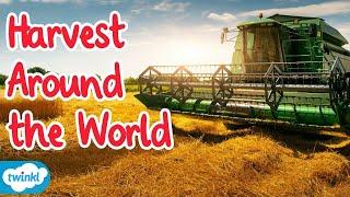 Harvest Around the World | Harvest Festivals for Kids