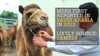 Here's what you need to know about MERS