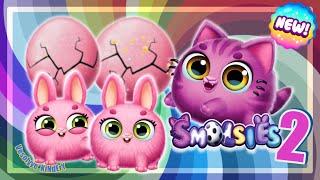 Birth of two rabbits  | Smolsies 2 Cute Pet Stories #16 | Vesolyye KiNdErY