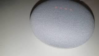 Solved Google Nest Home Mini Sorry Somethings Not Right