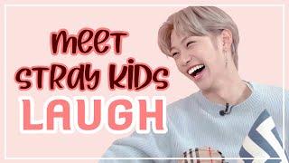 A Guide to Stray Kids Laugh (2020)