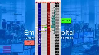 HOW TO SCAN THE PRICE LADDER ?