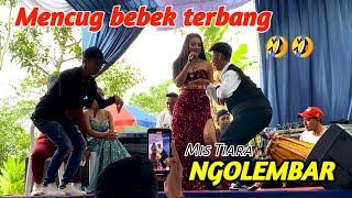 NGOLEMBAR - ( COVER ) - TIARA // RADJATA X TEAM OKEY // Cipt : Yus Thamaswara