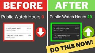 PROBLEM SOLVED | Public Watch Hours showing 0 on Youtube Monetization page | Watch Time Not Updated.
