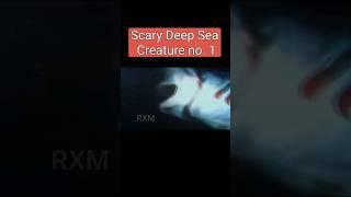 Scary Deep Sea creature #facts #trend #viral #shorts #trendingshorts #deepsea #factopiaRXM #news