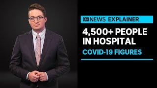 Casey Briggs analyses latest COVID-19 data and hospitalisations around the country | ABC News