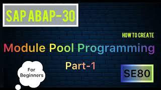 SAP ABAP-30 (How to Create Module Pool Programming in SAP ABAP) For Beginners.