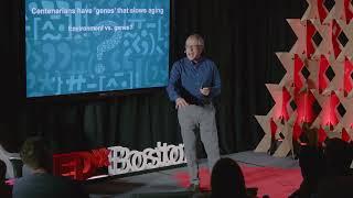 Emerging aging research | Nir Barzilai | TEDxBoston