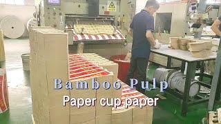 Custom bamboo pulp paper cup fan