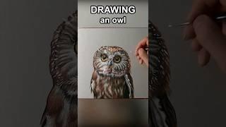 Owl on paper #art #magic #marcellobarenghi