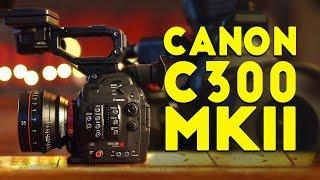 C300 MKII Review: Low-Light & Slow Motion