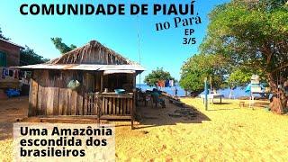 Passei 3 dias em comunidade ribeirinha, no Pará – Piauí, Rio Arapiuns, Santarém – VÍDEO 3/5