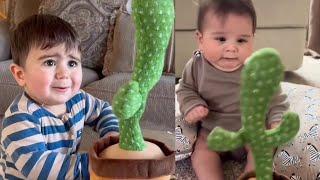 Baby with talking cactus | babies scaring from cactus