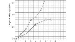 Liv Env Episode 3 Graphing