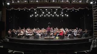 AWO Chennai rehearsal, Beethoven Symphony No 7