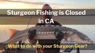 Sturgeon Fishing is Closed in CA - What to do with your Gear?