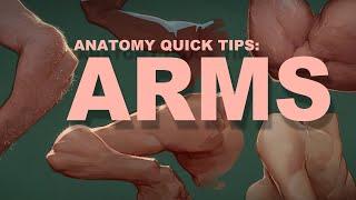 Anatomy Quick Tips: Arms