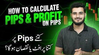 What is Pip in Forex Trading - How to Calculate per Pip Profit & Loss