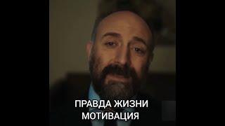 Правда жизни. Золотые слова. Сильные слова. Мотивация