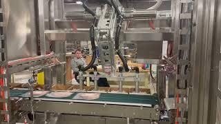 Case Packing of Bagged Deli Meat | JLS Automation