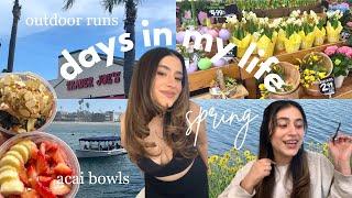 Productive Weekend in My Life  spring 6am mornings, easter vlog + trader joes