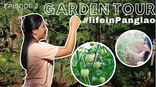 Life in Panglao: Episode 2:  Garden Tour