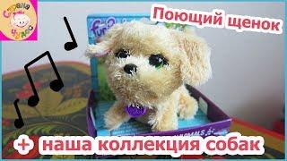 ОБЗОР Интерактивная игрушка FurReal Friends Поющий щенок