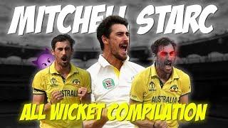 Mitchell Starc All Wickets Of His Carrier  | Cricket Compilation Video | CricketVisuals