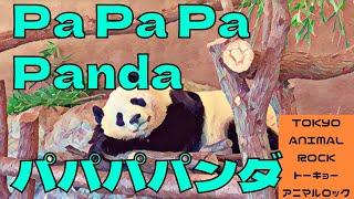 Papapapa Panda(Music) /Tokyo Animal Rock(with lyric) パパパパパンダ