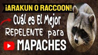   ¿Cuál es el mejor REPELENTE para MAPACHES?  ¡Arakun o RACCOON! ¿Qué DAÑOS hacen estos animales?