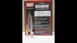 6.5 Creedmoor 142 gr Nosler ABLR ballistics gel test reduced velocity long range simulation